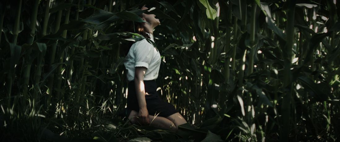 Escena niño El Grito